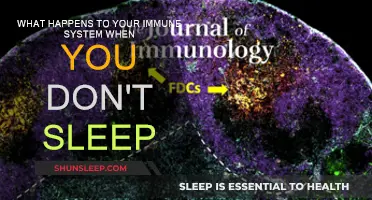 Lack of Sleep: Immune System's Worst Nightmare