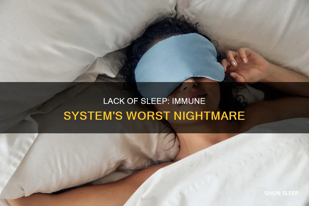 what happens to your immune system when you don