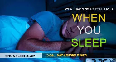 How Sleep Affects Your Liver Health