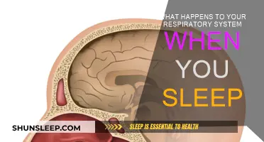 How Sleep Affects Your Breathing