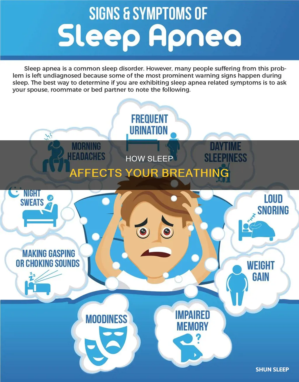 what happens to your respiratory system when you sleep