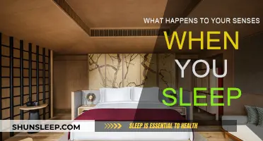 Exploring Sleep: Heightened Senses or Senselessness?