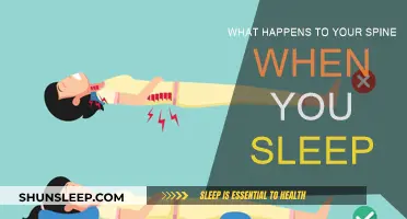 Spinal Rest: Sleep's Impact on Your Back Health