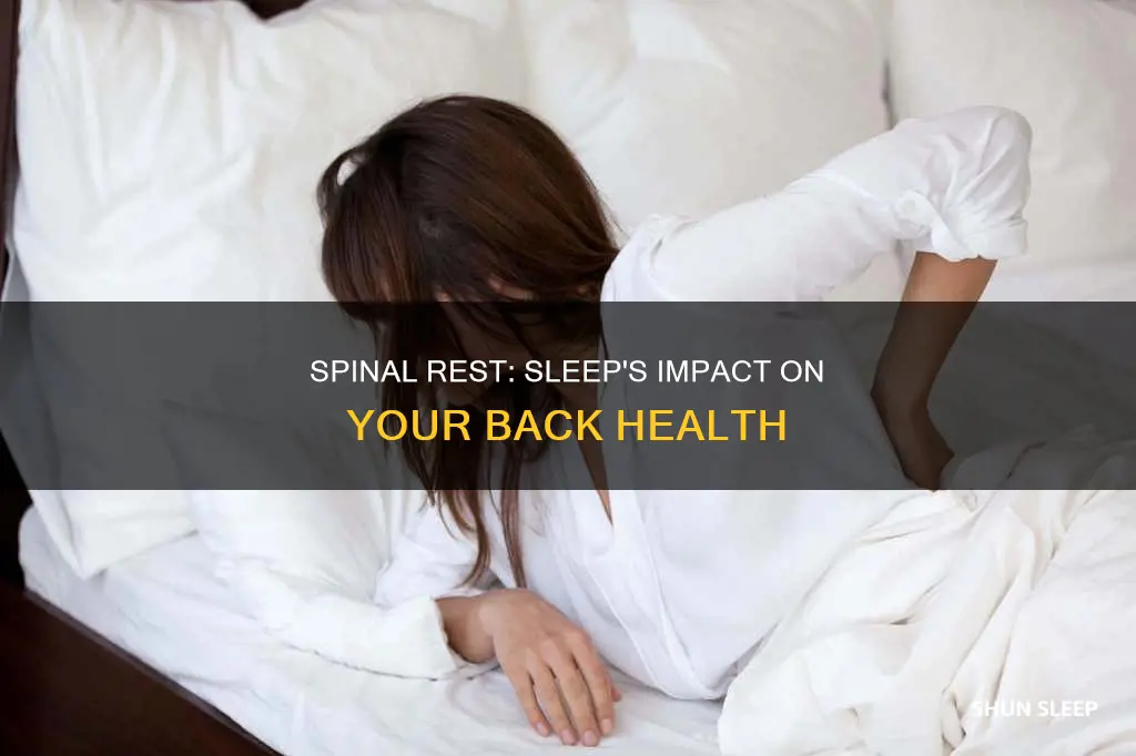 what happens to your spine when you sleep