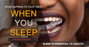 Exploring the Science of Sleep and Teeth