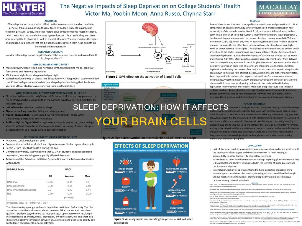 what happens tonour cells wjen we cant sleep