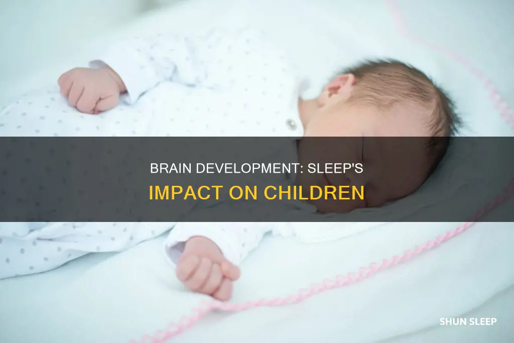 what happens when a child sleeps
