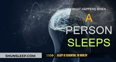 The Science of Sleep: Unraveling the Mystery
