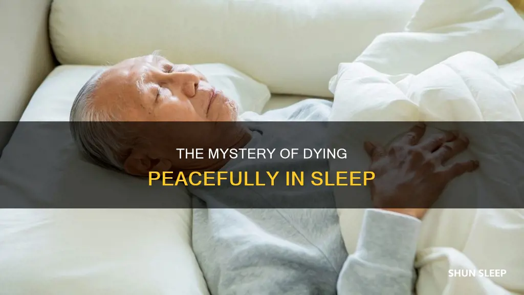 what happens when an old person dies in their sleep