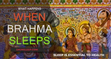 The Dream of Brahma: A Cosmic Sleep Story
