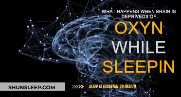 Brain Deprivation of Oxygen: Sleep's Deadly Risk