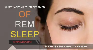 The Dark Side of REM Sleep Deprivation