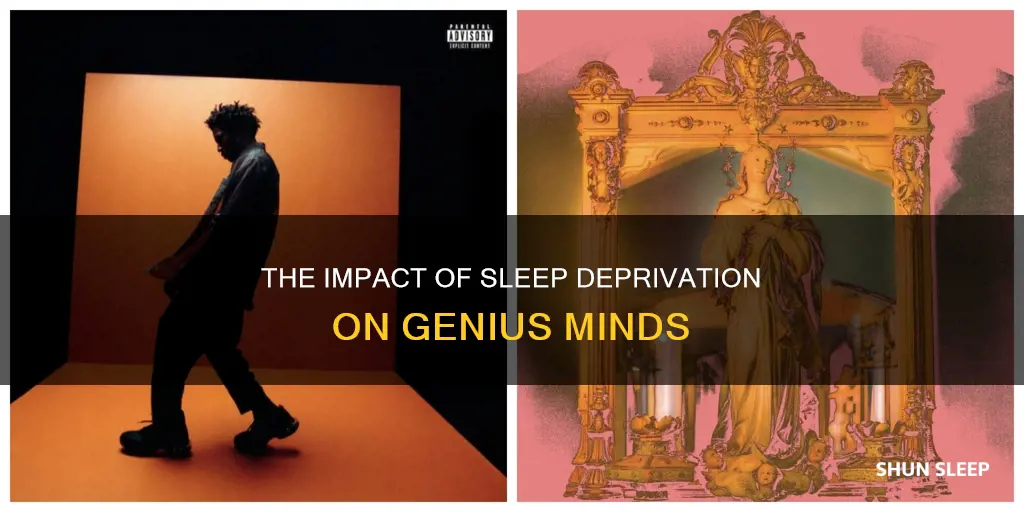 what happens when geniuses don
