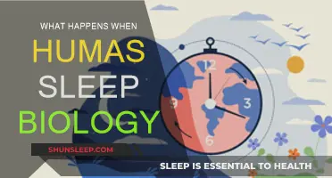 The Biology of Sleep: What Happens When We Snooze?