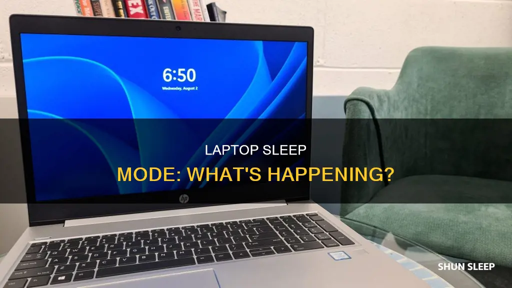 what happens when laptop goes to sleep