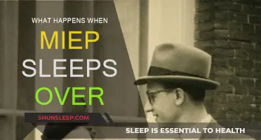 Miep's Sleepover: A Night of Fun and Adventure