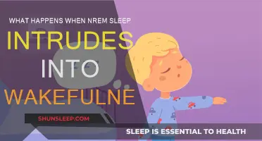 Sleep Intrusion: NREM Sleep and Wakefulness
