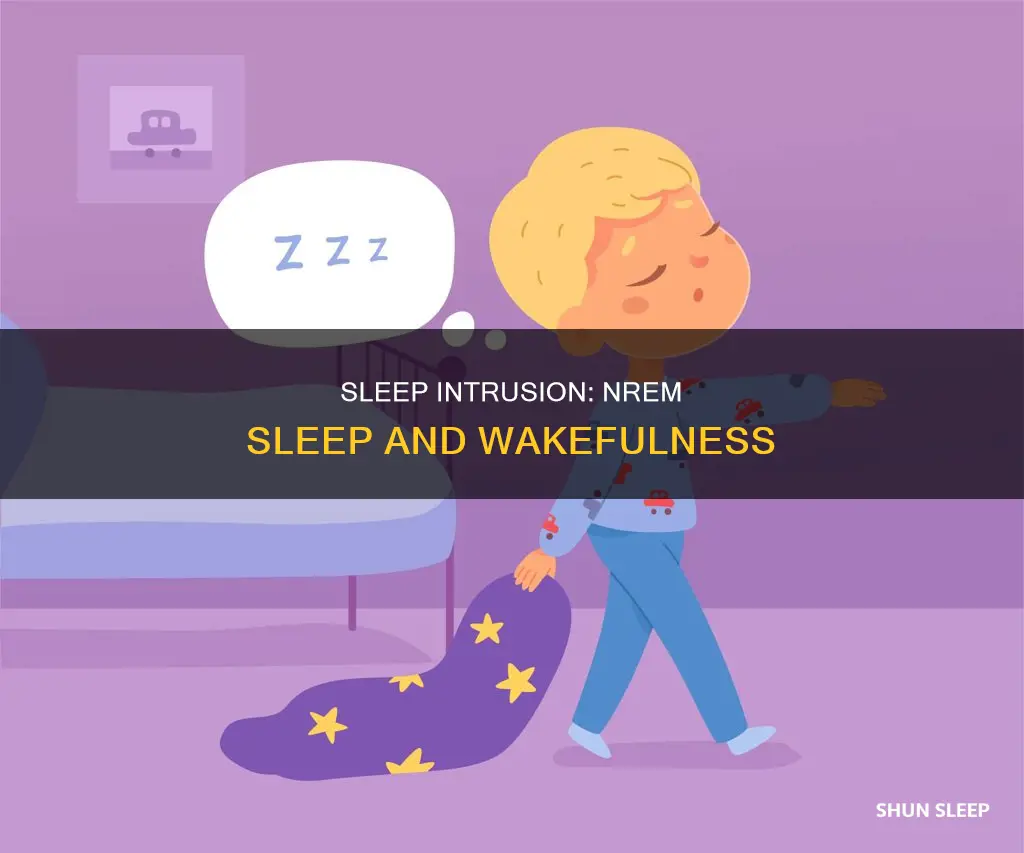 what happens when nrem sleep intrudes into wakefulness