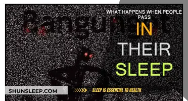 Passing in Sleep: The Peaceful End