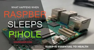 Exploring the Pihole-Raspberry Sleep Mystery