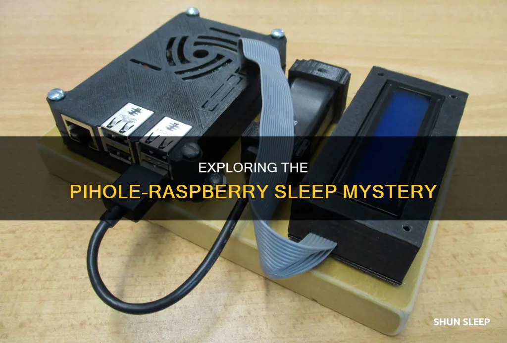 what happens when raspberry sleeps pihole