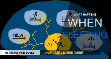 The Brain's Night Shift: Secrets of Sleep