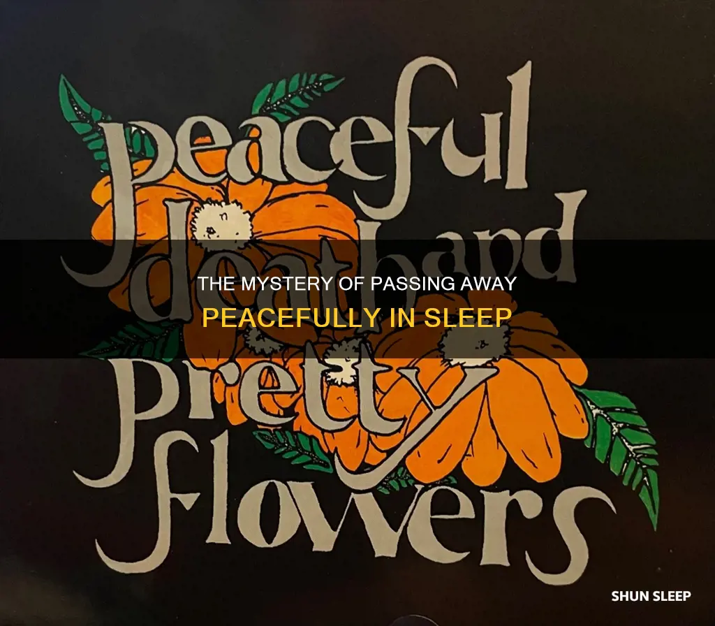 what happens when someone passes away in their sleep