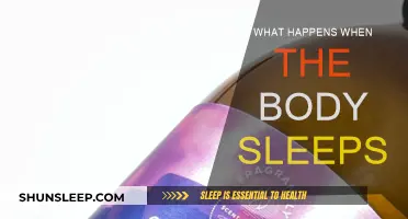 Exploring Sleep: Unraveling the Body's Nightly Journey