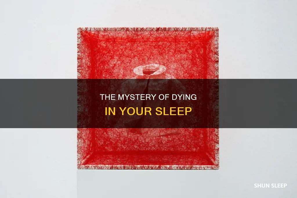 what happens when u die in ur sleep