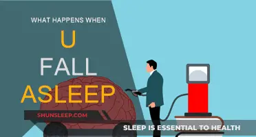 The Science of Sleep: Unraveling the Mystery
