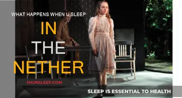 Exploring the Nether: Sleep and its Consequences