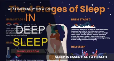 Exploring the Science of Deep Sleep