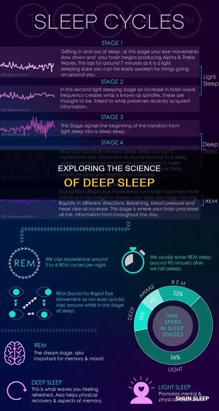 what happens when we are in deep sleep