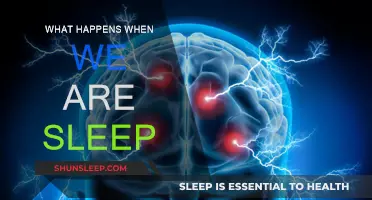 The Brain's Night Shift: Sleep Unveiled