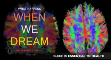 The Science Behind Dreams: Unlocking the Mystery