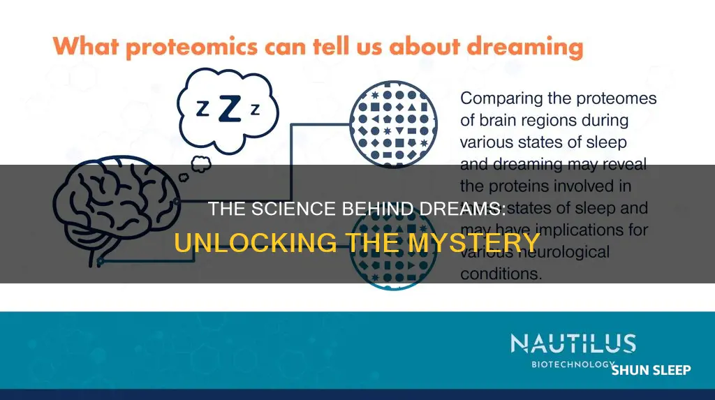 what happens when we dream