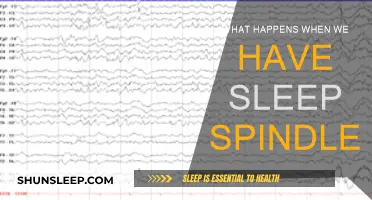 Sleep Spindles: Brain's Superpower for Memory and Learning