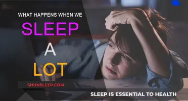 Sleep Science: Understanding Excessive Sleep