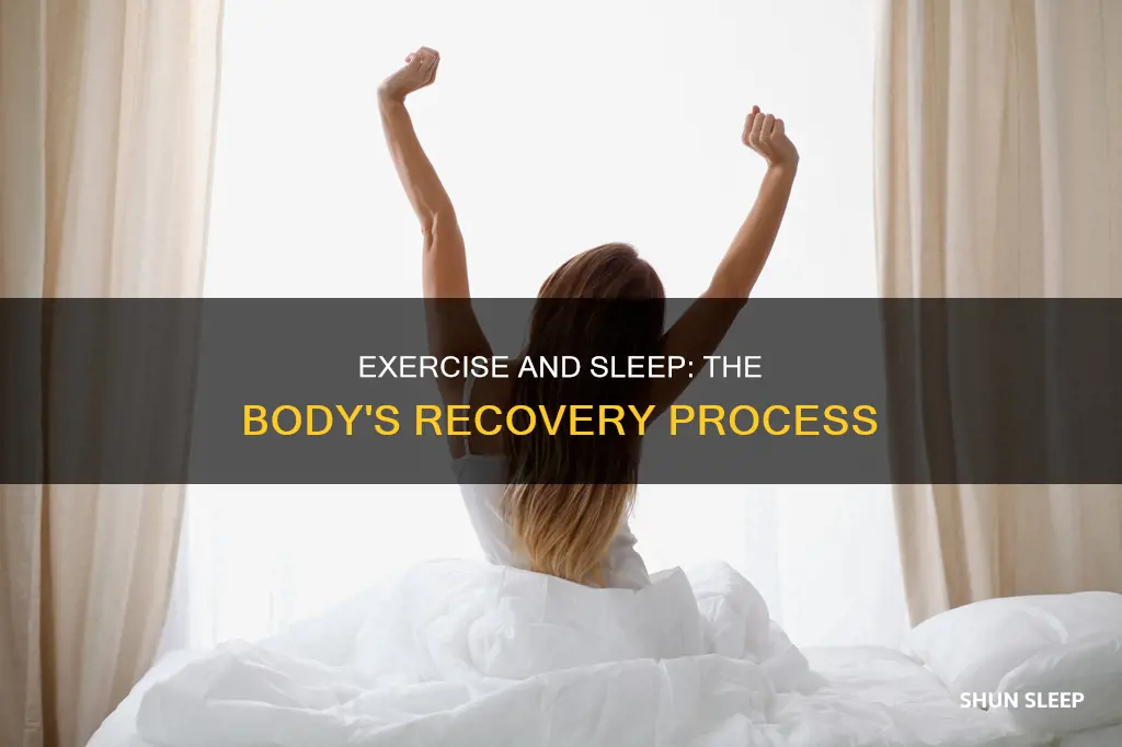 what happens when we sleep after exercise
