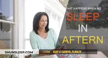 Afternoon Naps: What Happens When We Snooze?