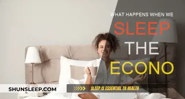The Economic Impact of Sleep: A Complex Relationship