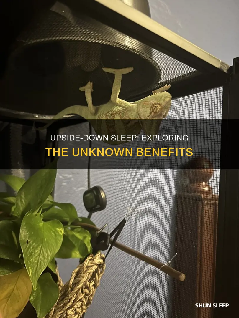 what happens when we sleep upside down