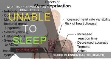 The Insomnia Nightmare: When Sleep Evades You