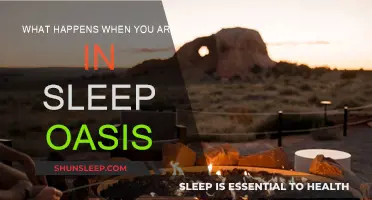 The Sleepy Oasis: A Journey to Slumber