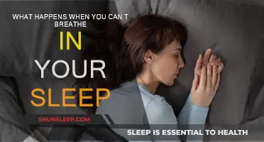 Sleep Apnea: When Breathing Stops at Night