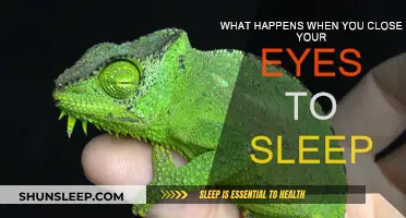 The Art of Sleep: Unraveling the Mystery of Shut-Eye