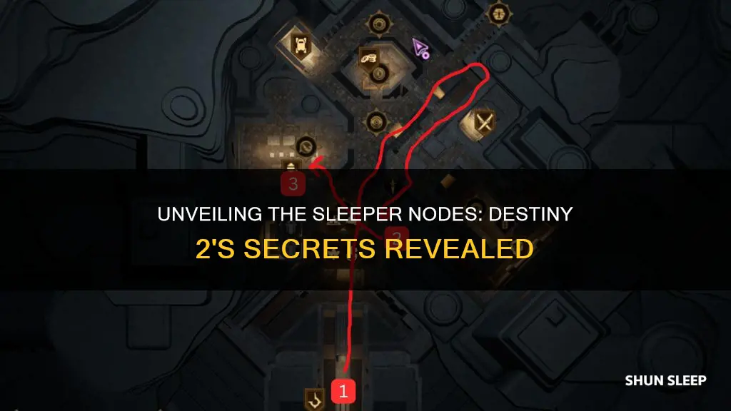 what happens when you collect 40 sleeper nodes desiny 2