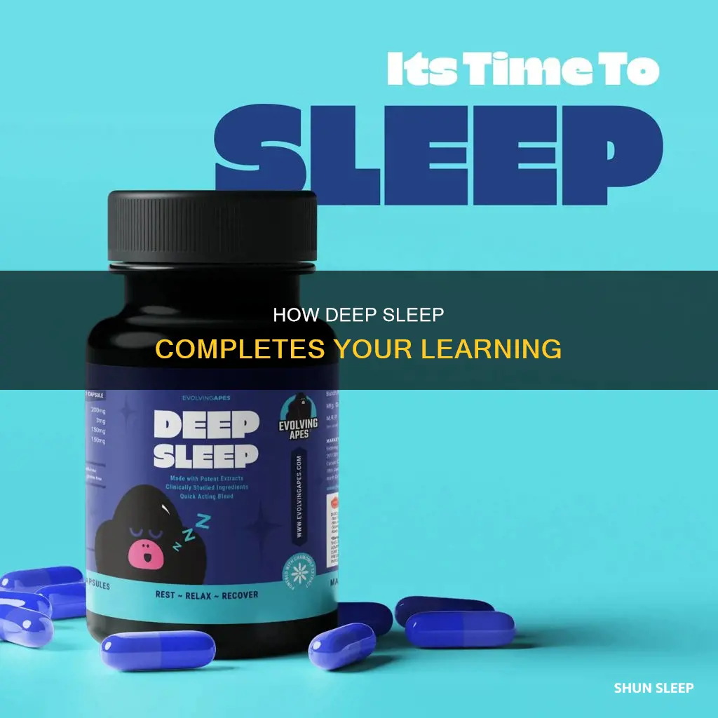 what happens when you complete the paper in deeper sleep