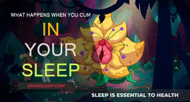 The Science Behind Wet Dreams