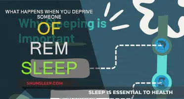 The Dark Side of REM Sleep Deprivation